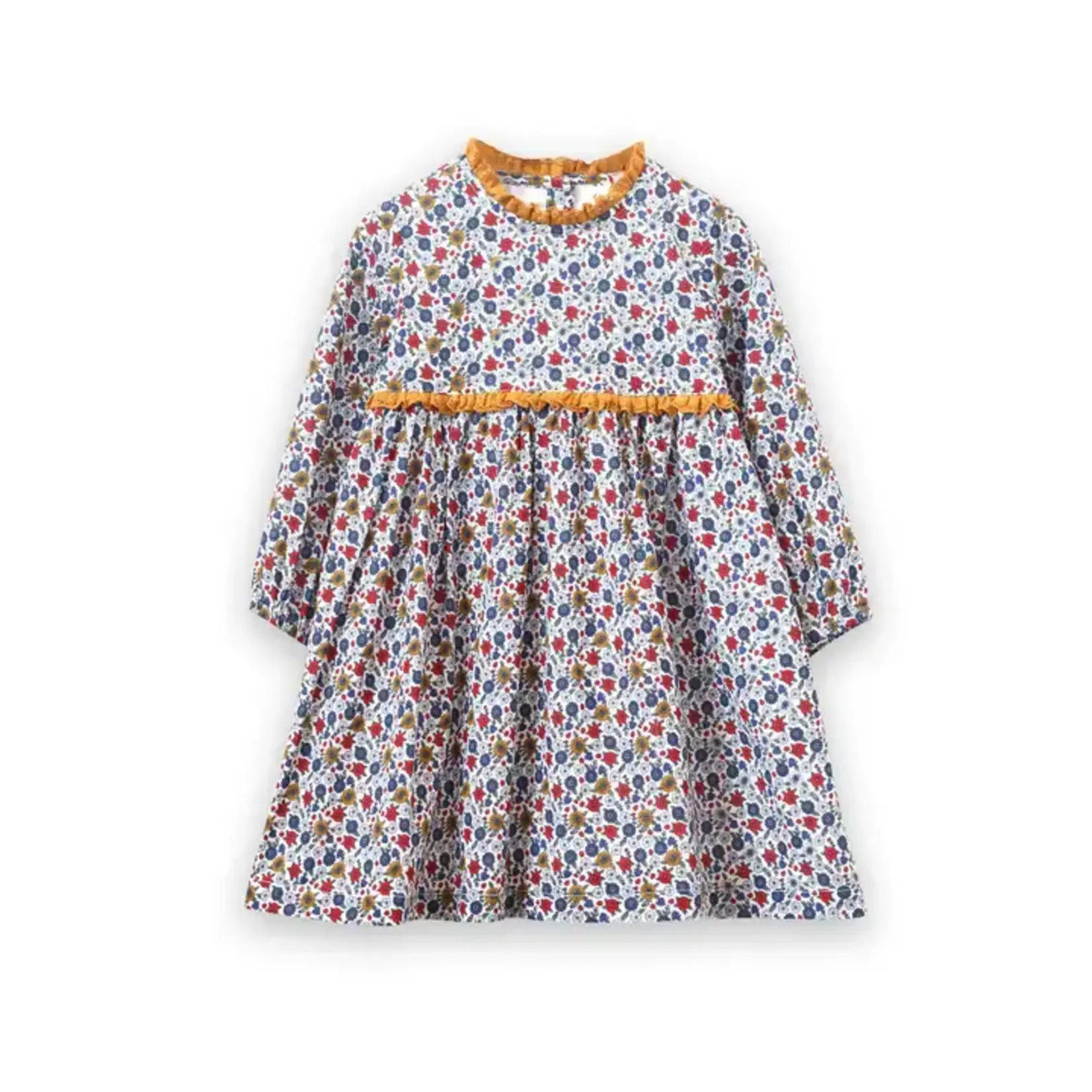 Beet World Rainier Valley Priya Lace Trim Dress
