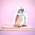 Camp Hollow Porcelain Animal Treasures Sparrow Necklace