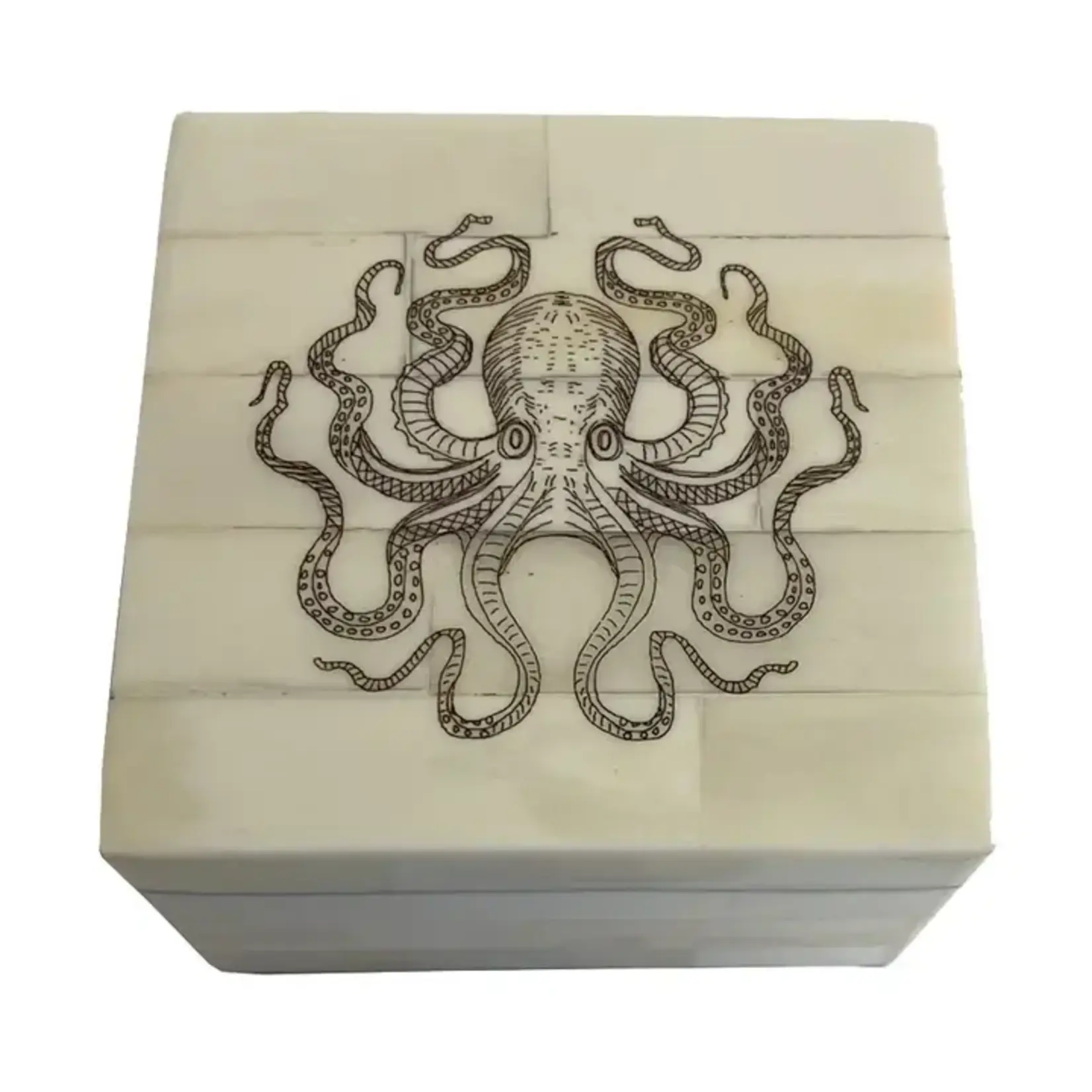 Madison Bay Co Octopus Engraved White Decorative Bone Box