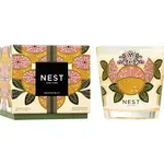 Nest Fragrances Grapefruit Speciality 3-Wick Candle