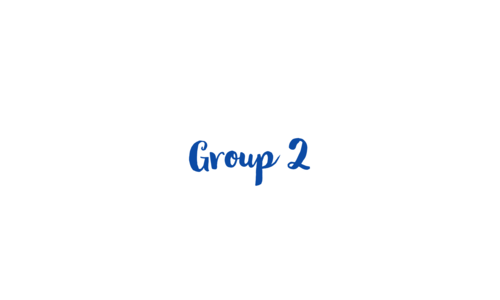 Group 2 