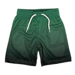 Mish Mish Mish Mish Green Gradient Mesh Shorts