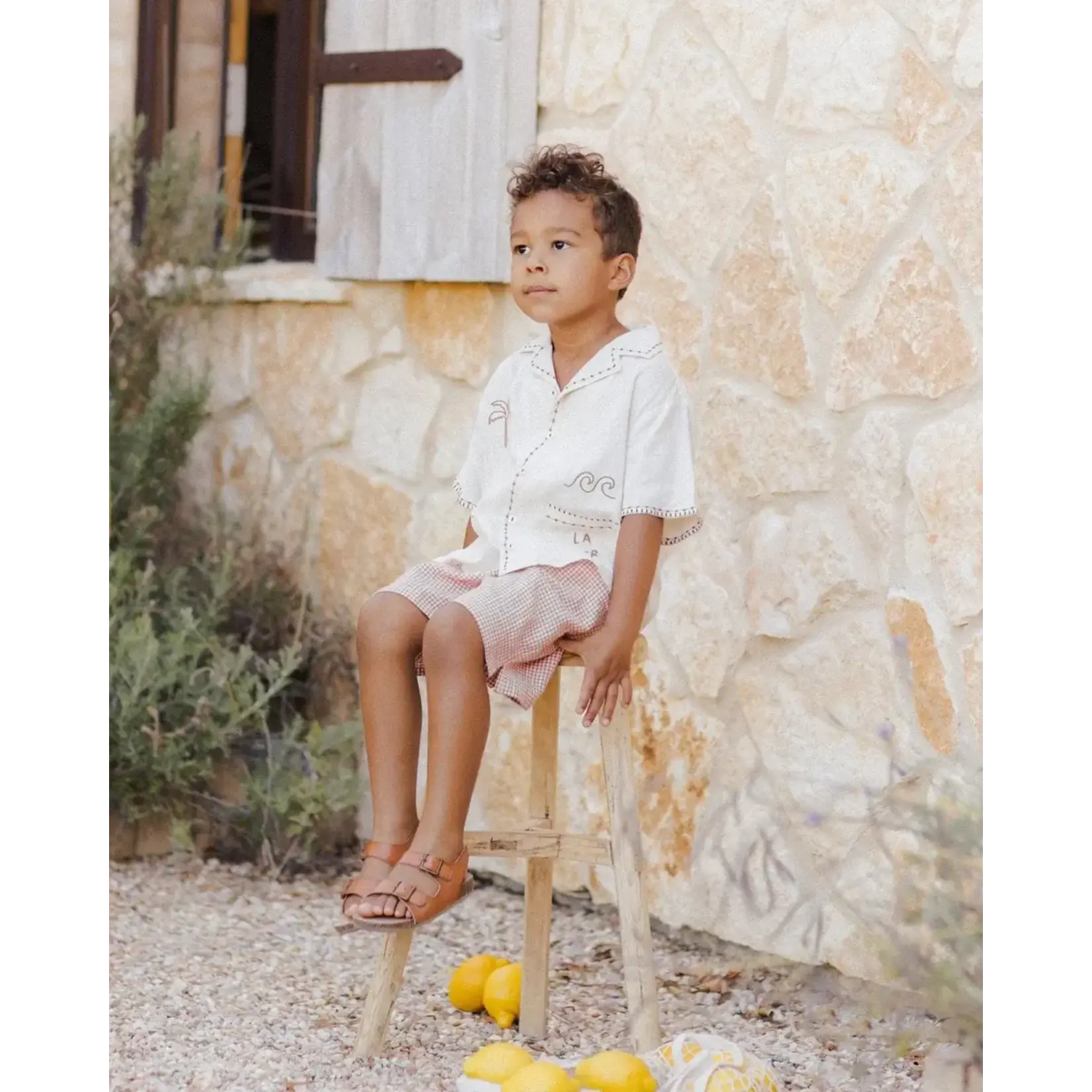 Rylee + Cru Rylee + Cru La Mer Lapel Collar Shirt W/ Poppy Gingham Perry Short Set