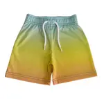 Mish Mish Mish Mish Multi Sunset Gradient Mesh Shorts