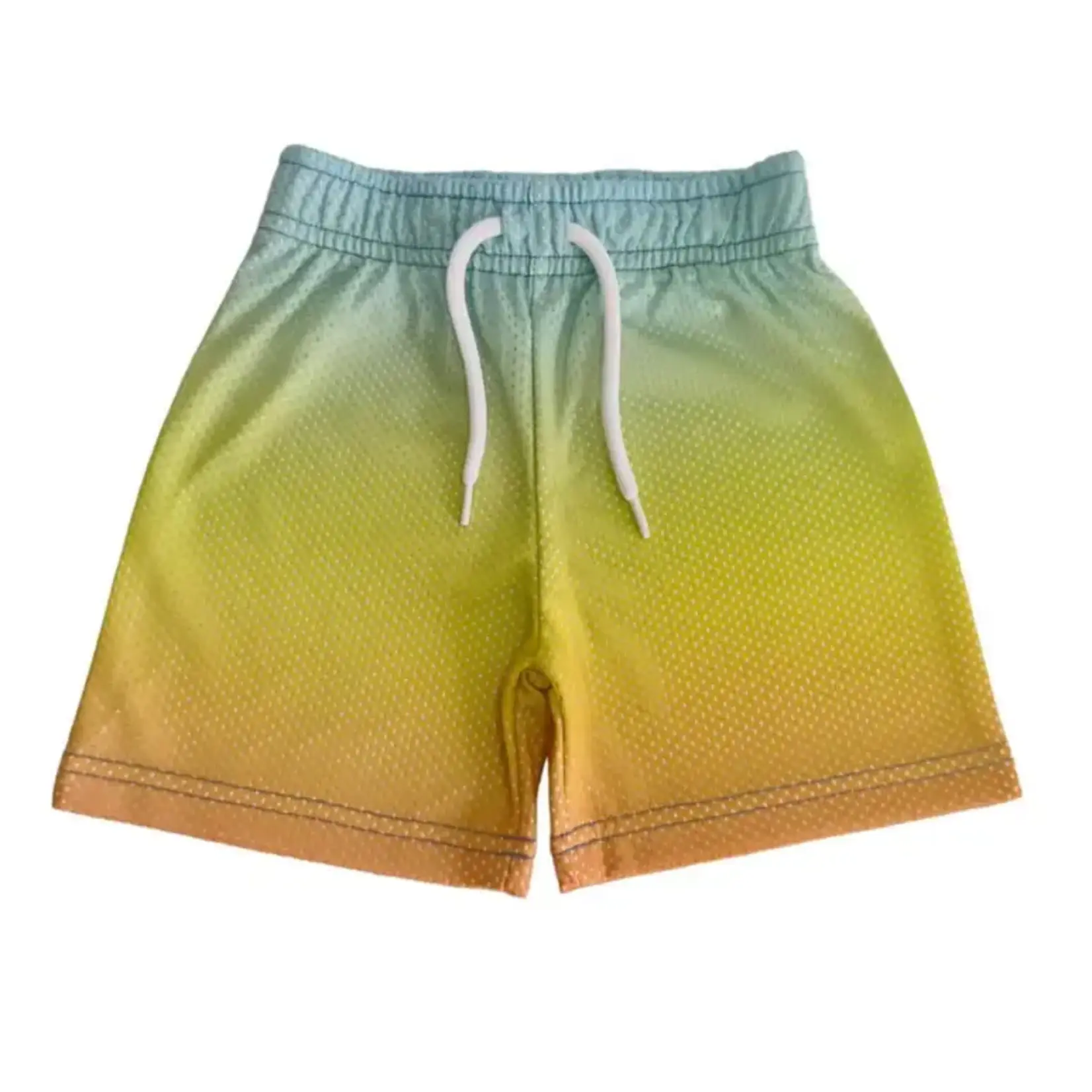 Mish Mish Mish Mish Multi Sunset Gradient Mesh Shorts