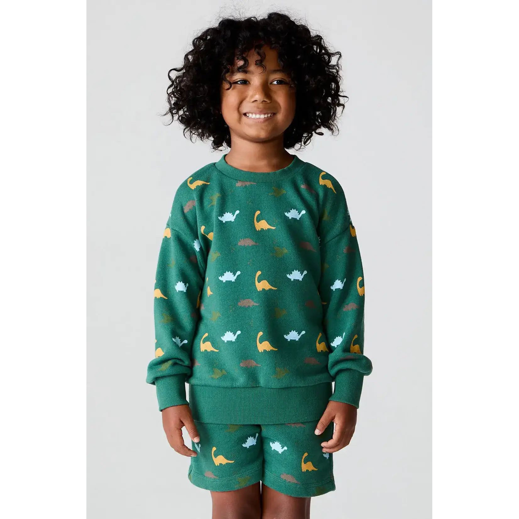 Chaser Chaser Broccolini Dino Party Pullover