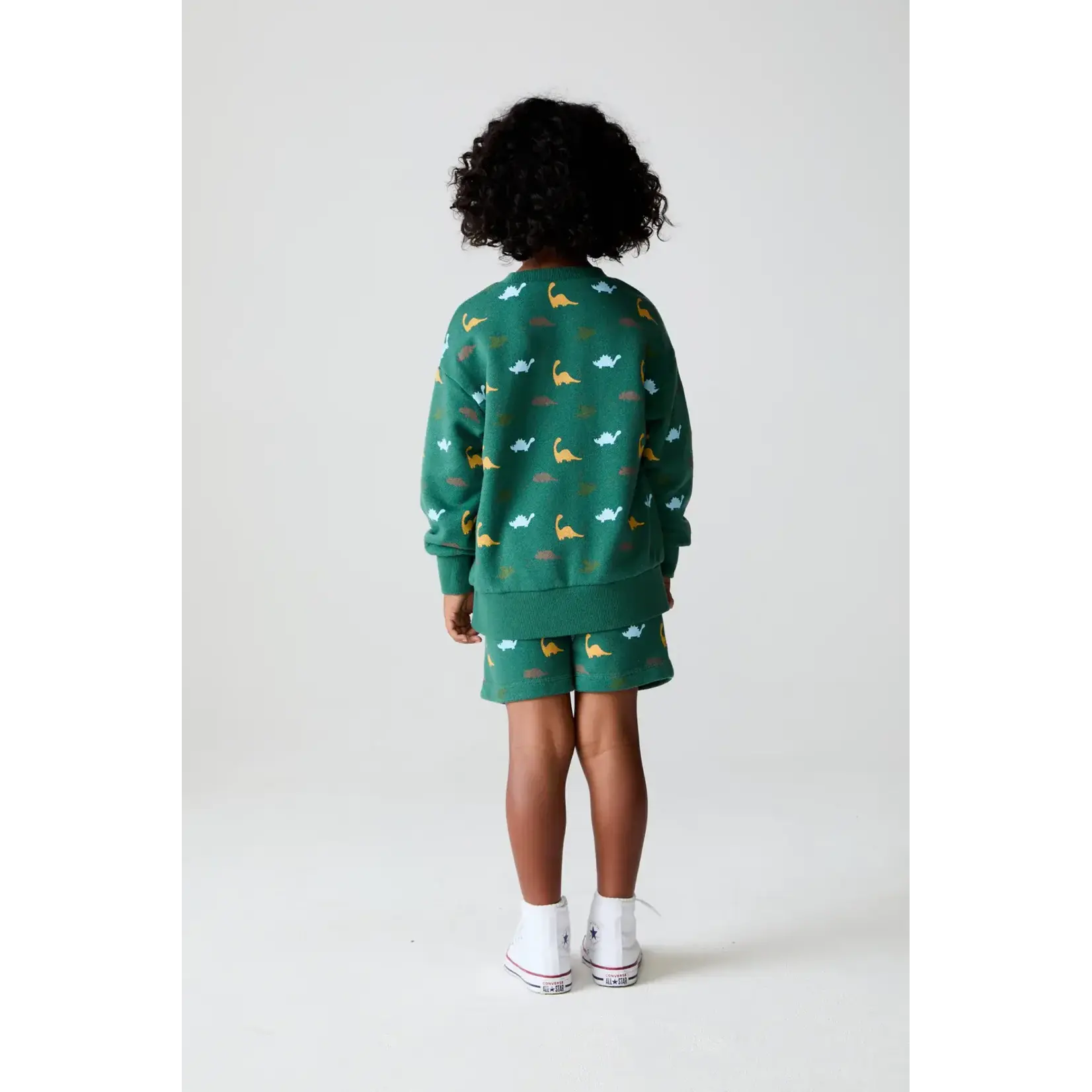 Chaser Chaser Broccolini Dino Party Pullover