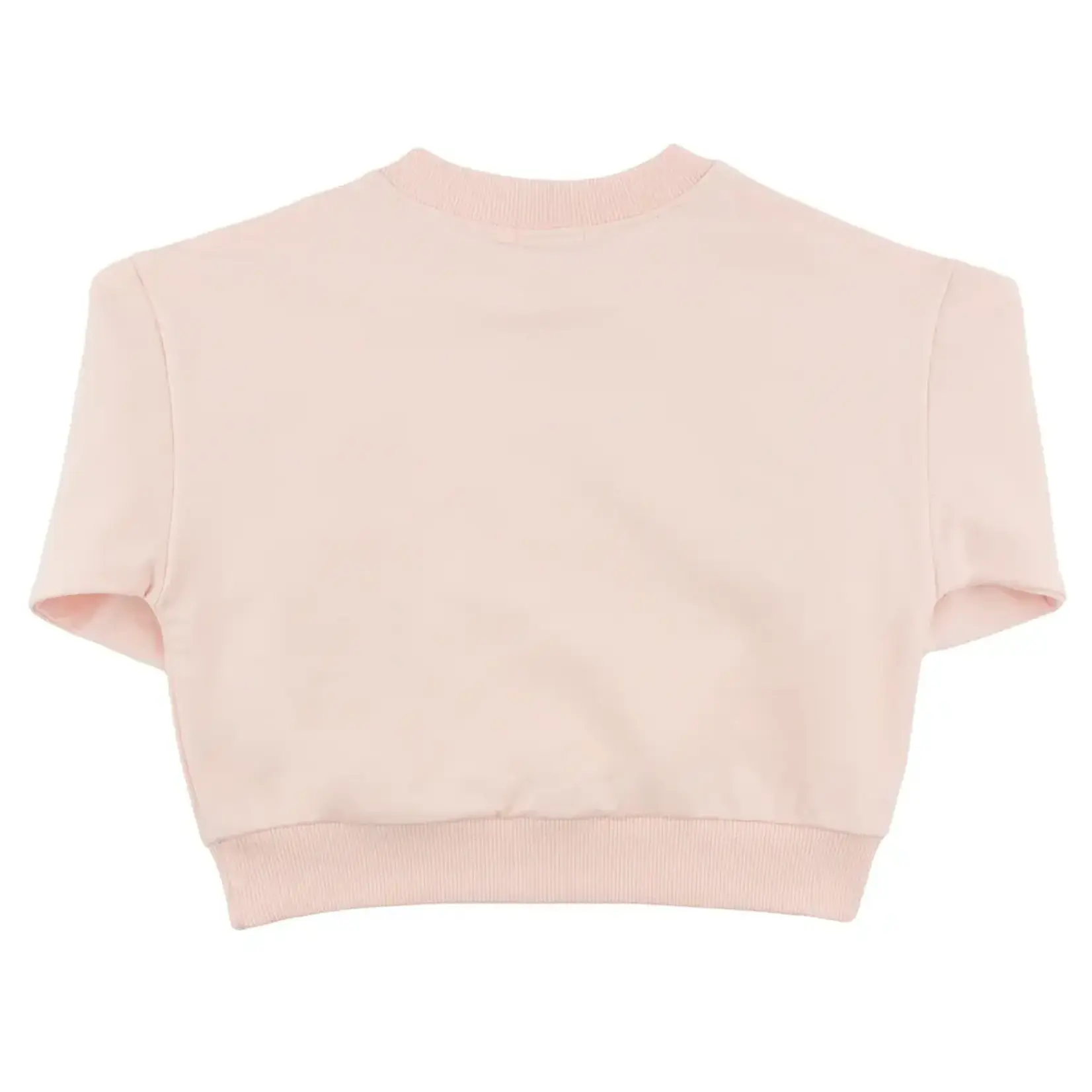 Oh Baby! Oh Baby Pale Pink Flowers & Butterfly Applique Charlie Sweatshirt