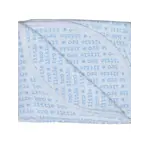 Baby Steps Baby Steps Blue Little Bro Blanket