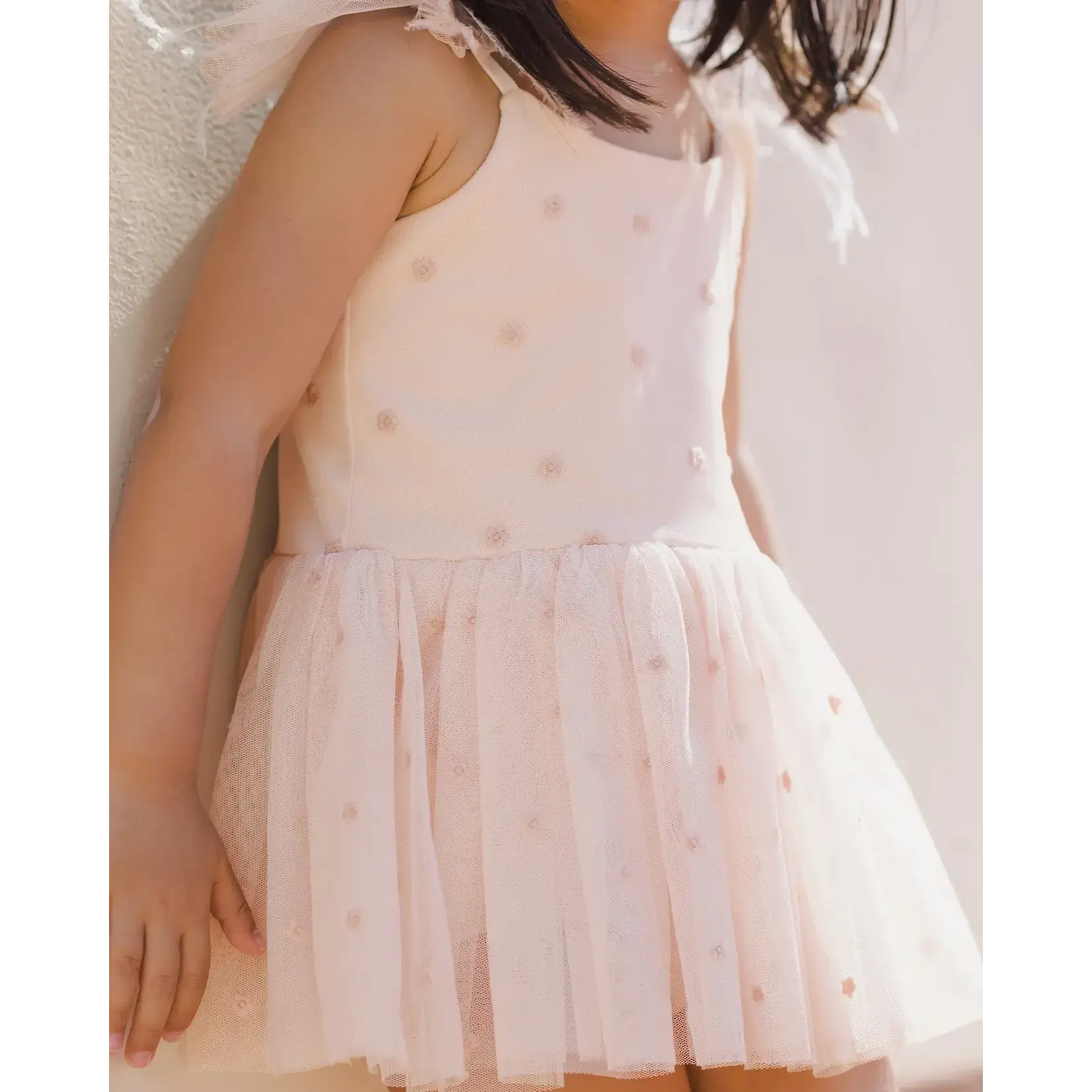 Noralee Noralee Blush Poppy Tutu Dress