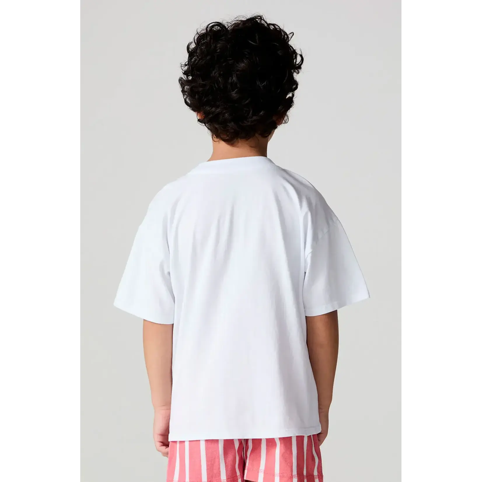 Chaser Chaser White Sunglass Popsicle S/S Tee