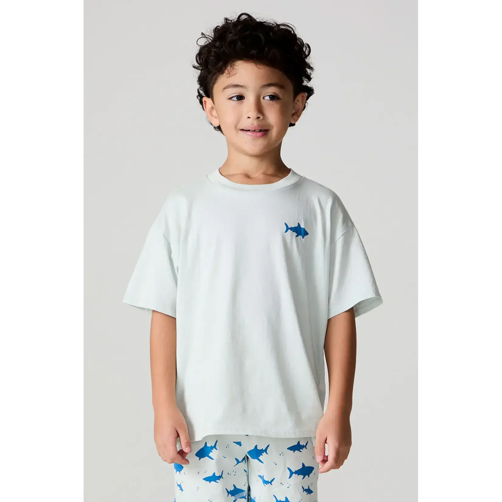 Chaser Chaser Silver Veil Shark Around Tee