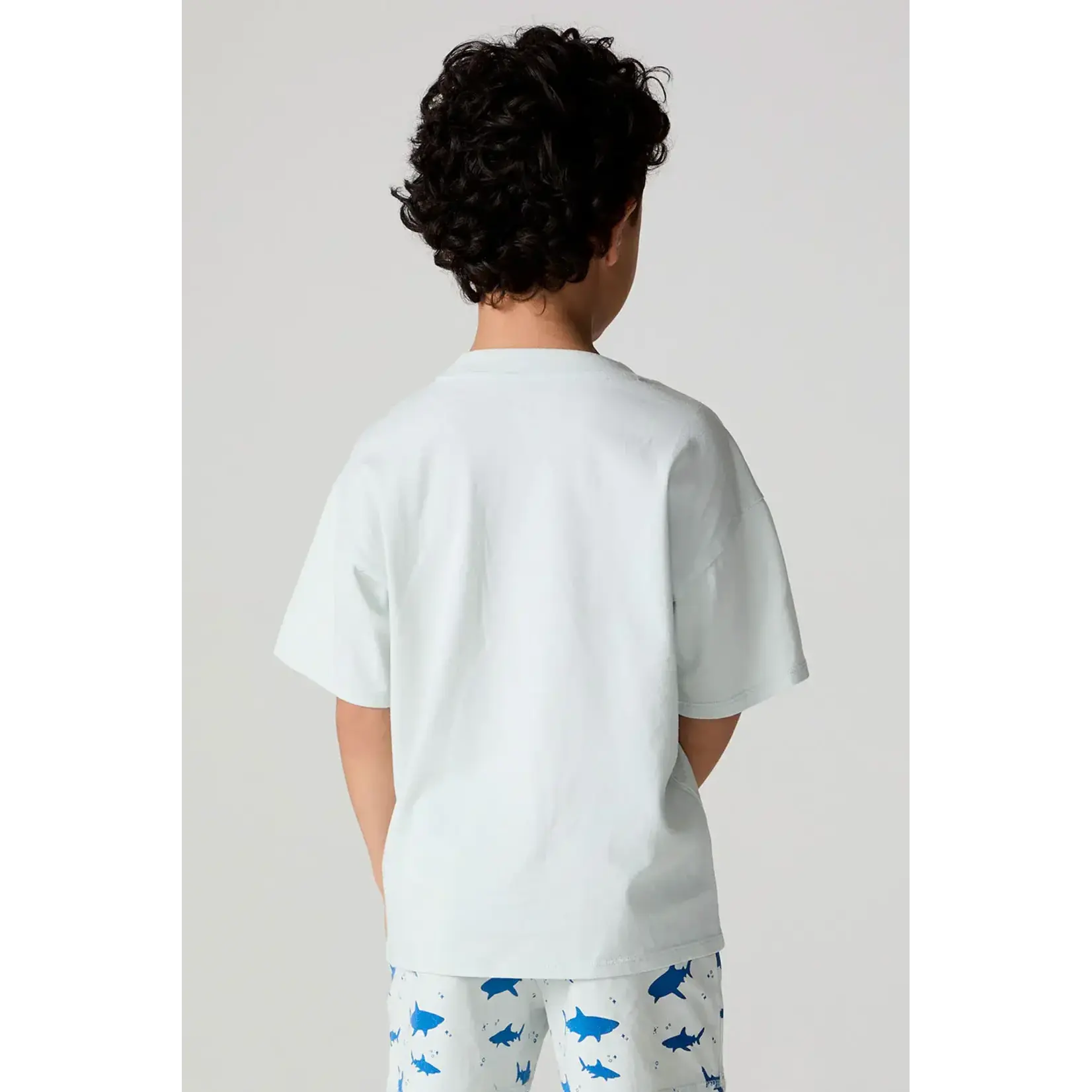 Chaser Chaser Silver Veil Shark Around Tee