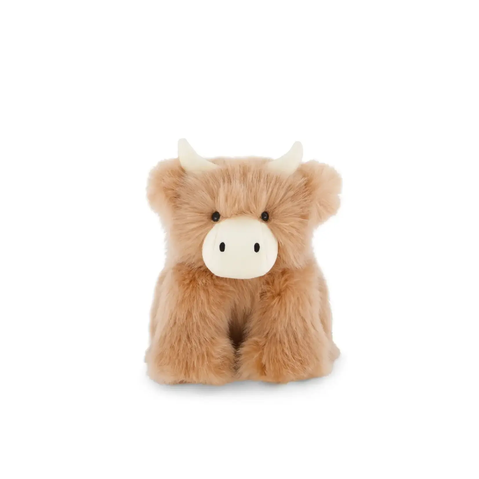 Jamie Kay Jamie Kay Hilda The Highland Cow