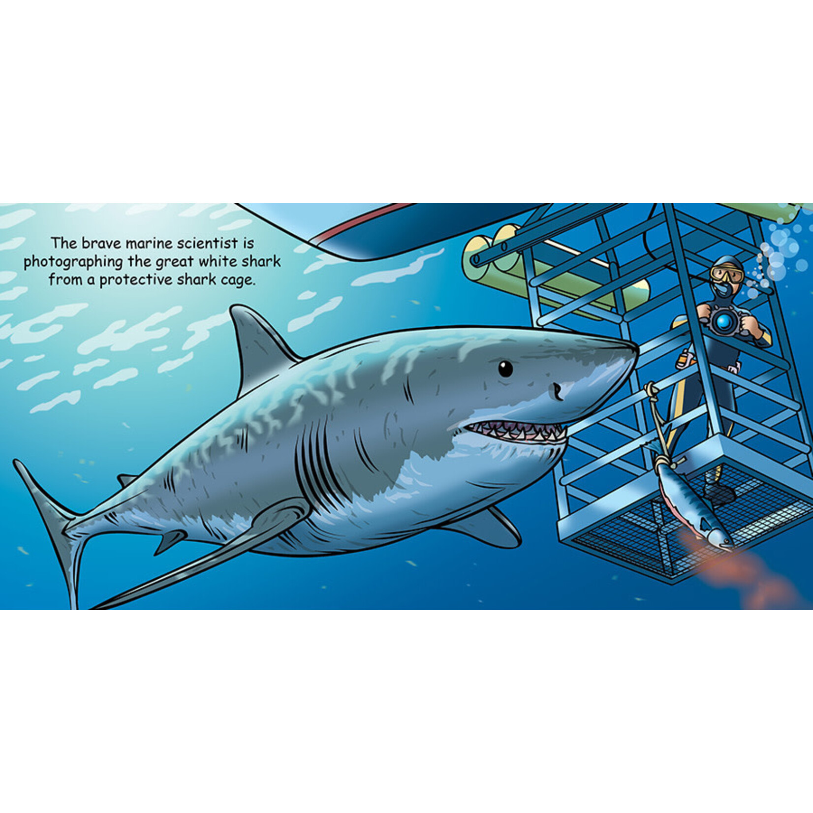 Penguin Books Goodnight Sharks Book