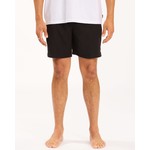 Billabong All Day Layback Shorts