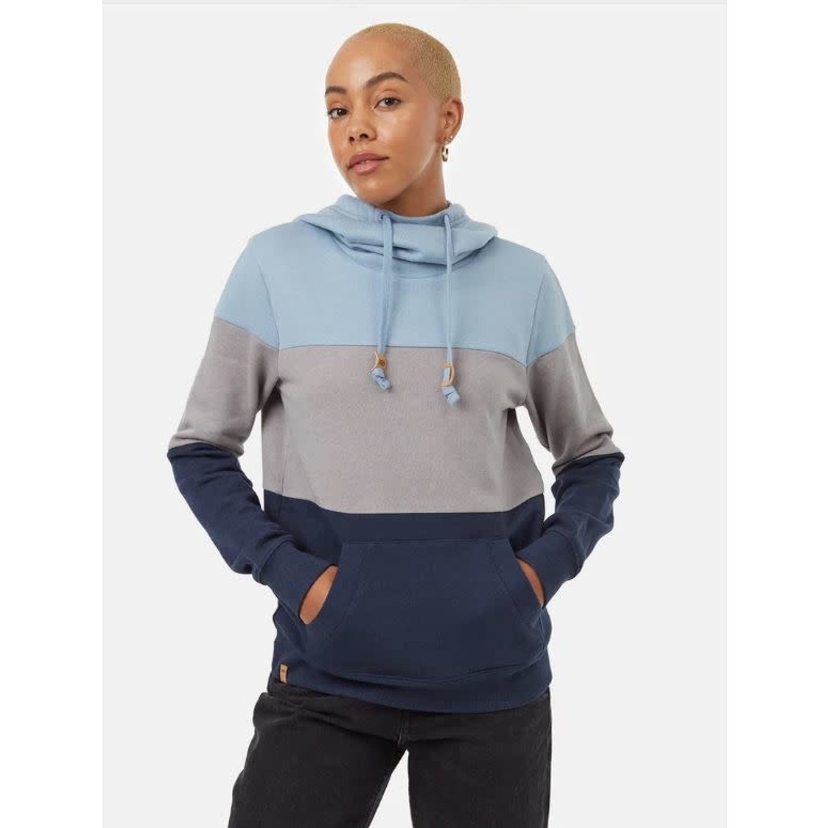 tentree Blocked Banshee Hoodie