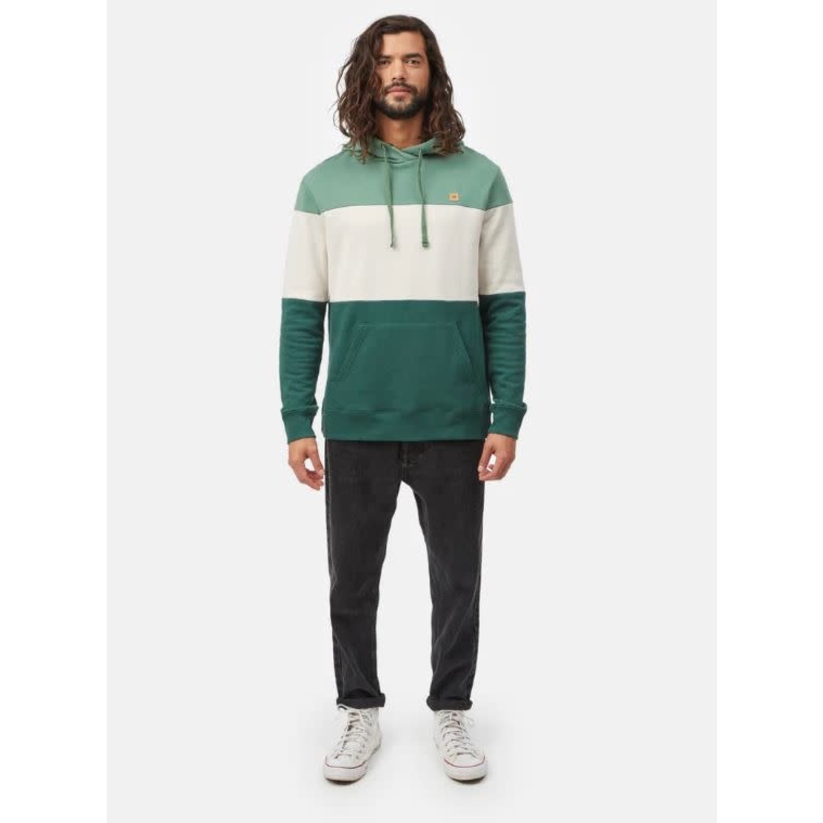 tentree Blocked Reynard Hoodie