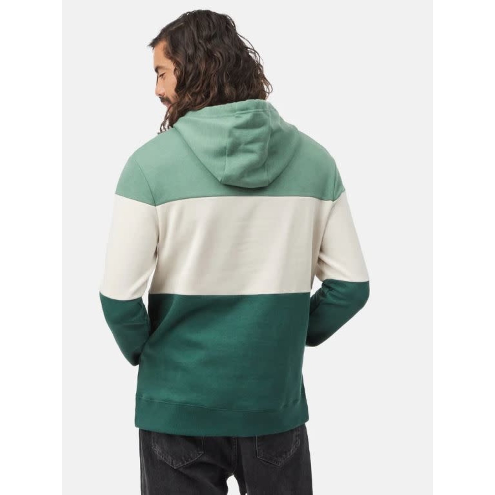 tentree Blocked Reynard Hoodie