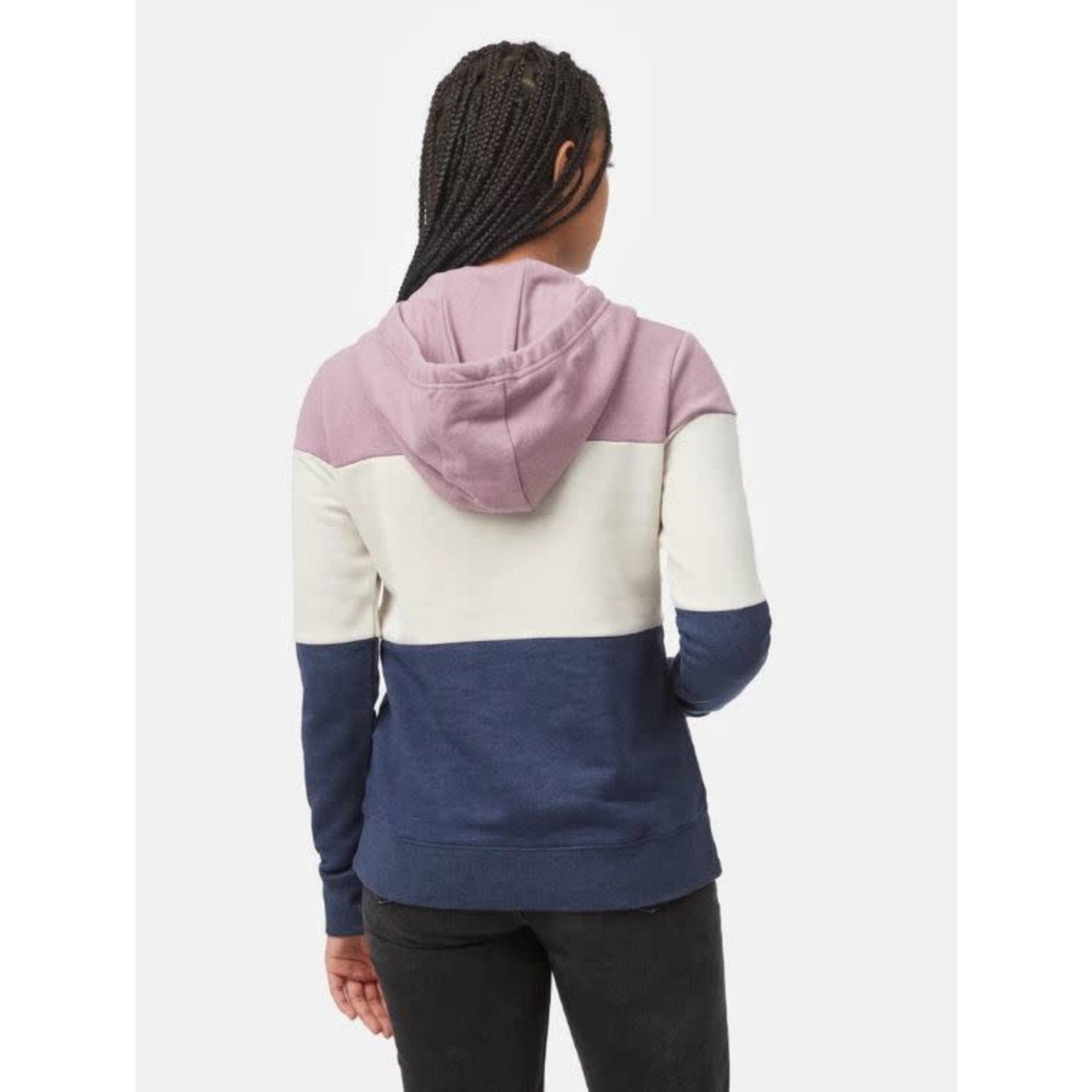 tentree Blocked Banshee Hoodie