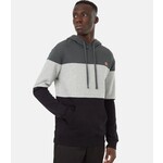 tentree Blocked Reynard Hoodie