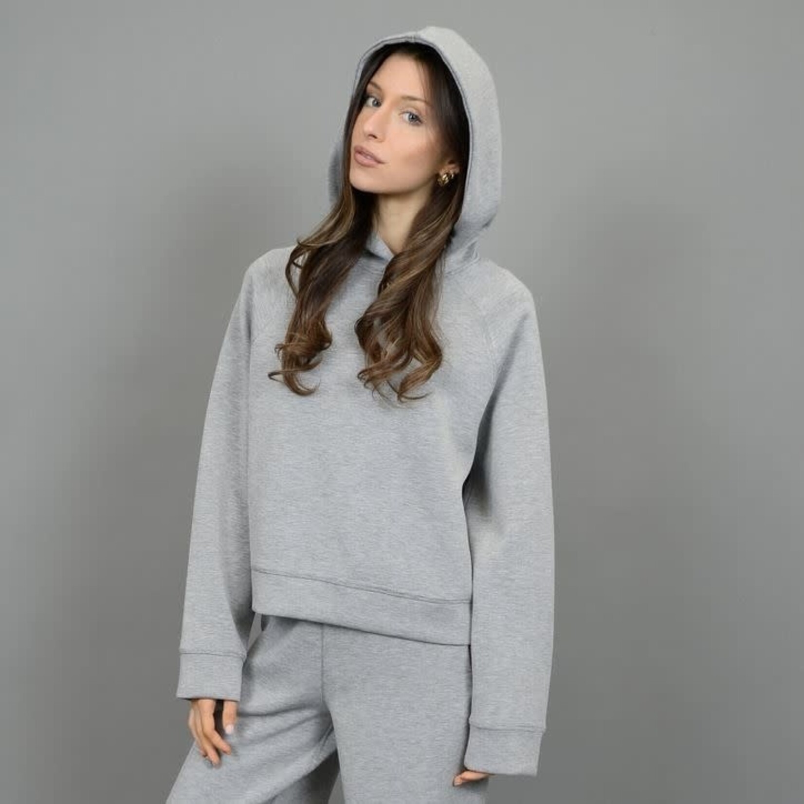 Rd Style Pristine Melange Hoody