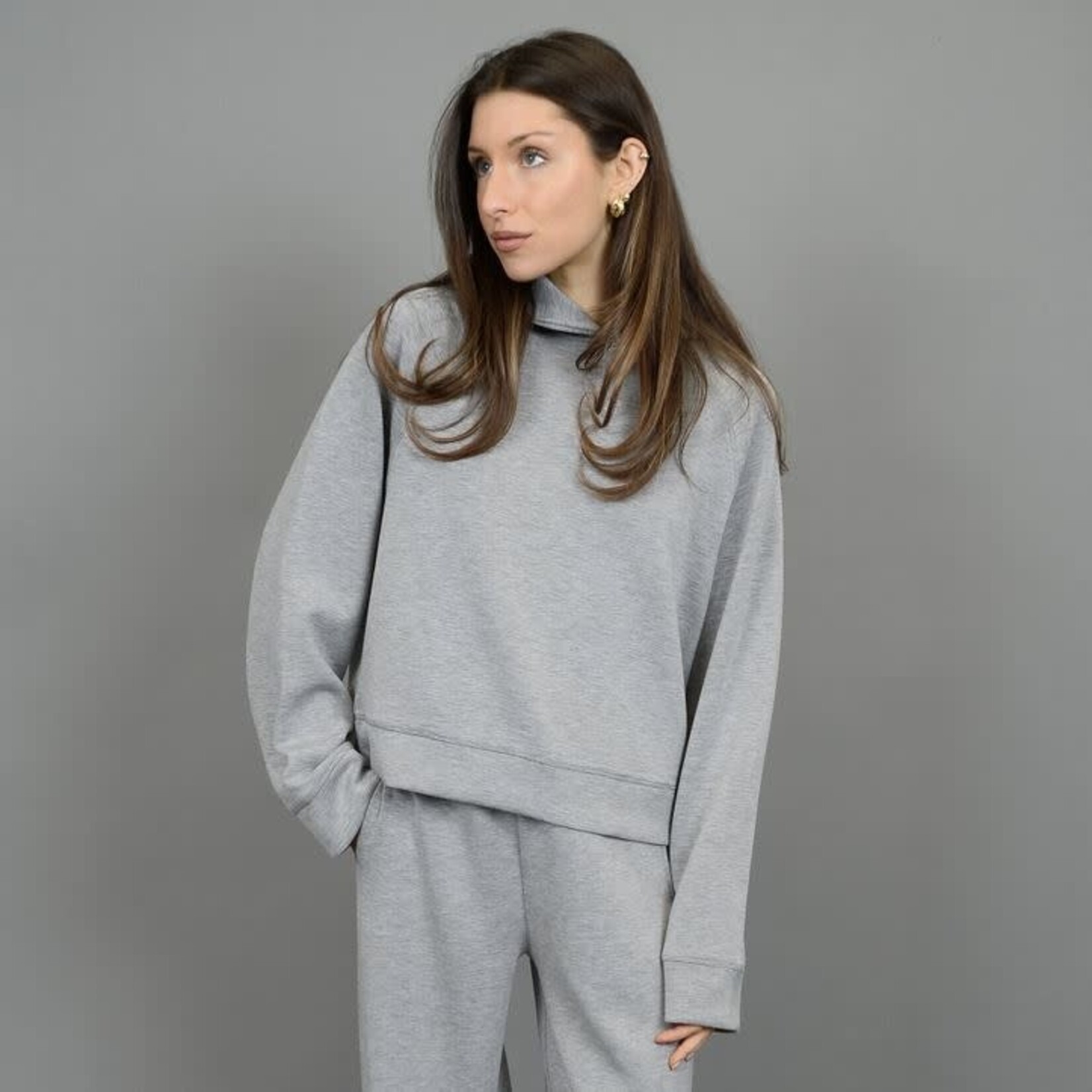 Rd Style Pristine Melange Hoody