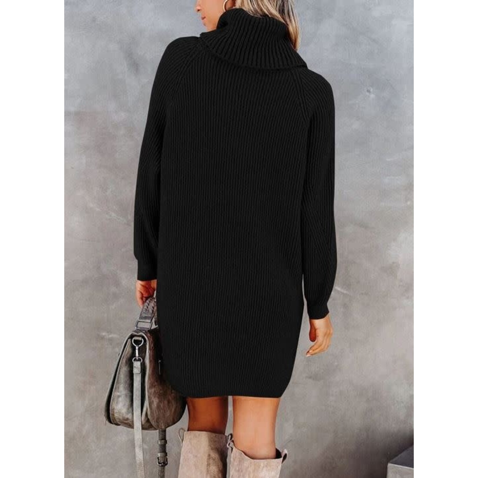 GGS Miranda Turtleneck Sweater Dress