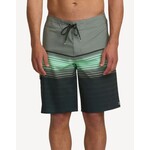 Billabong All Day Stripe Shorts
