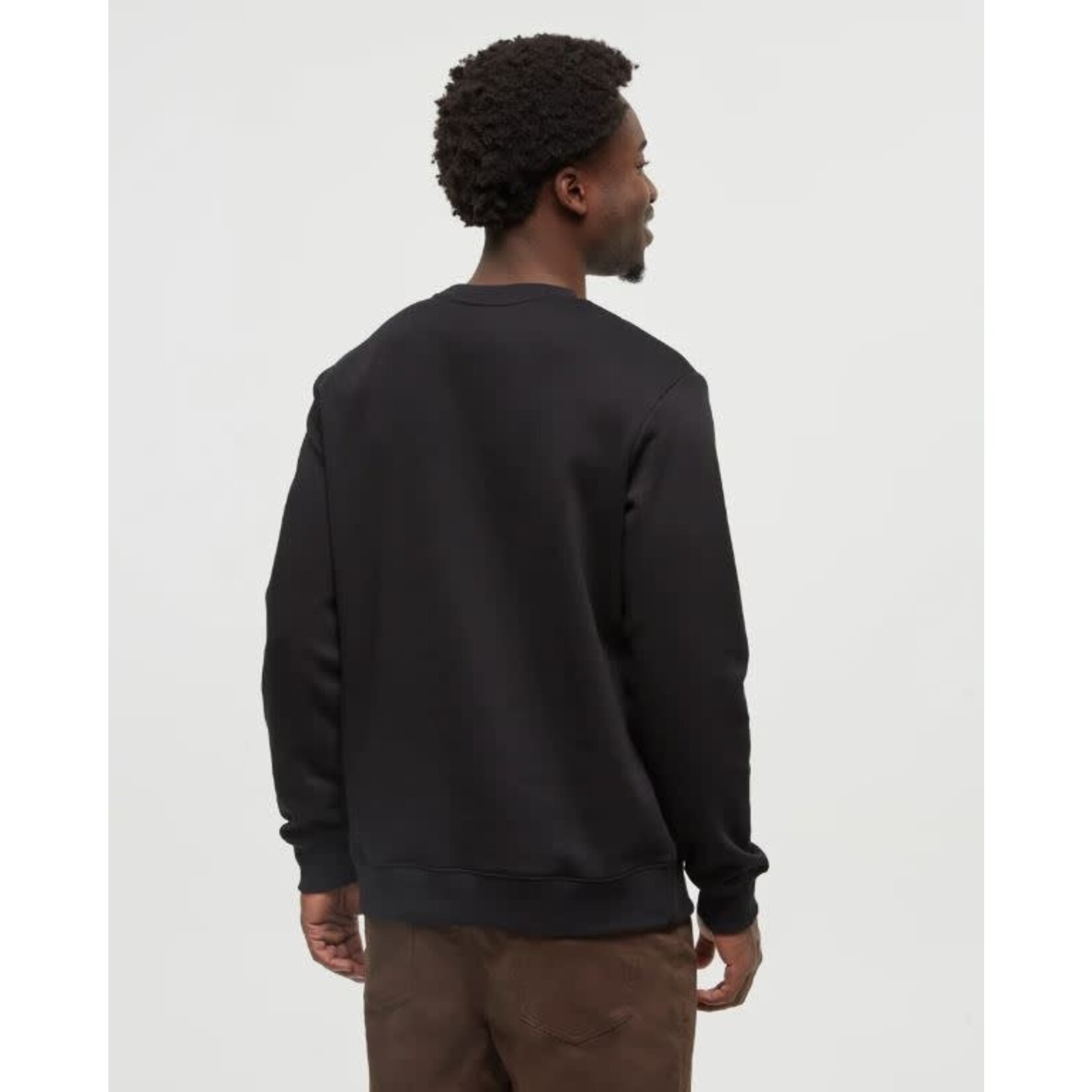 tentree Reynard Crew