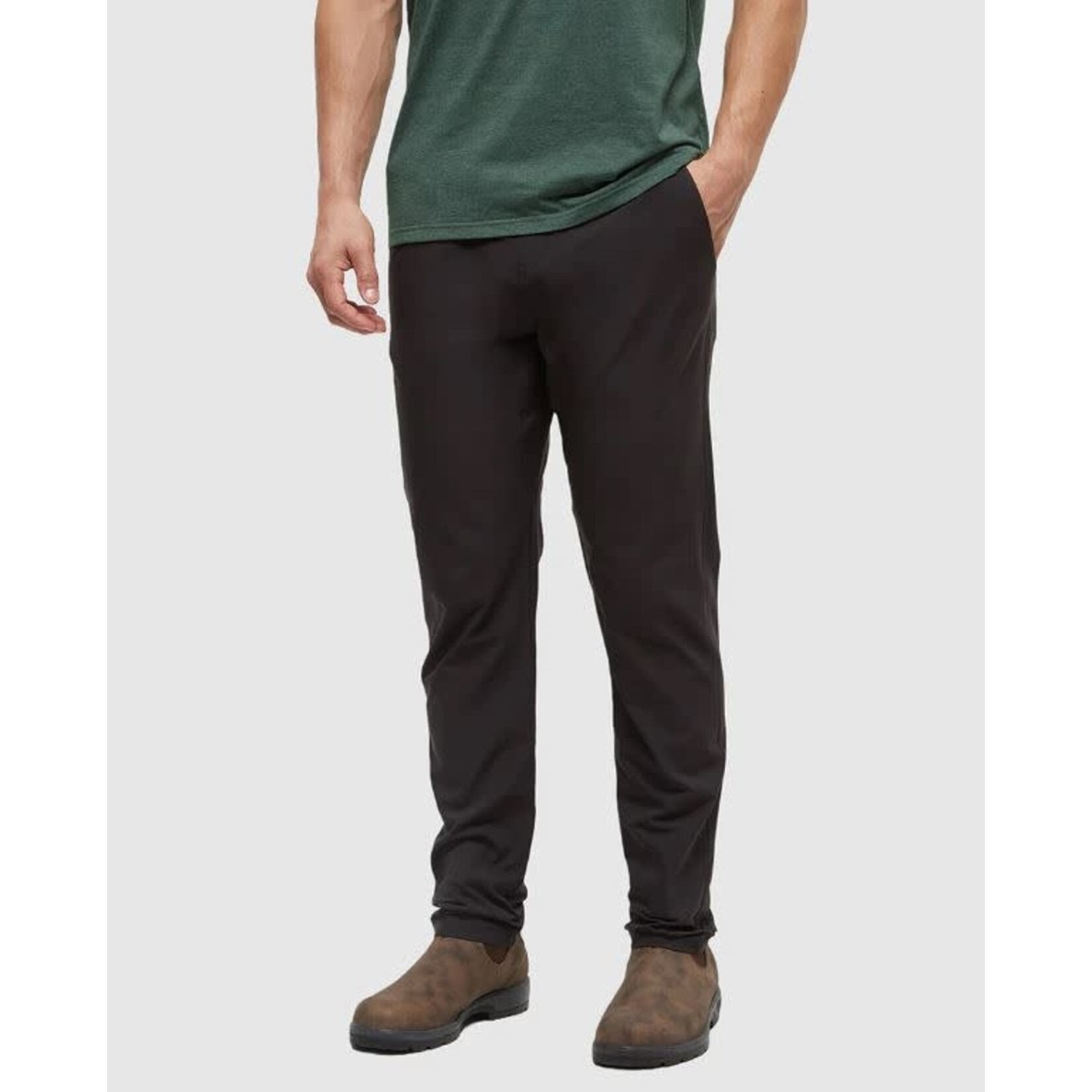 tentree Destination Pant