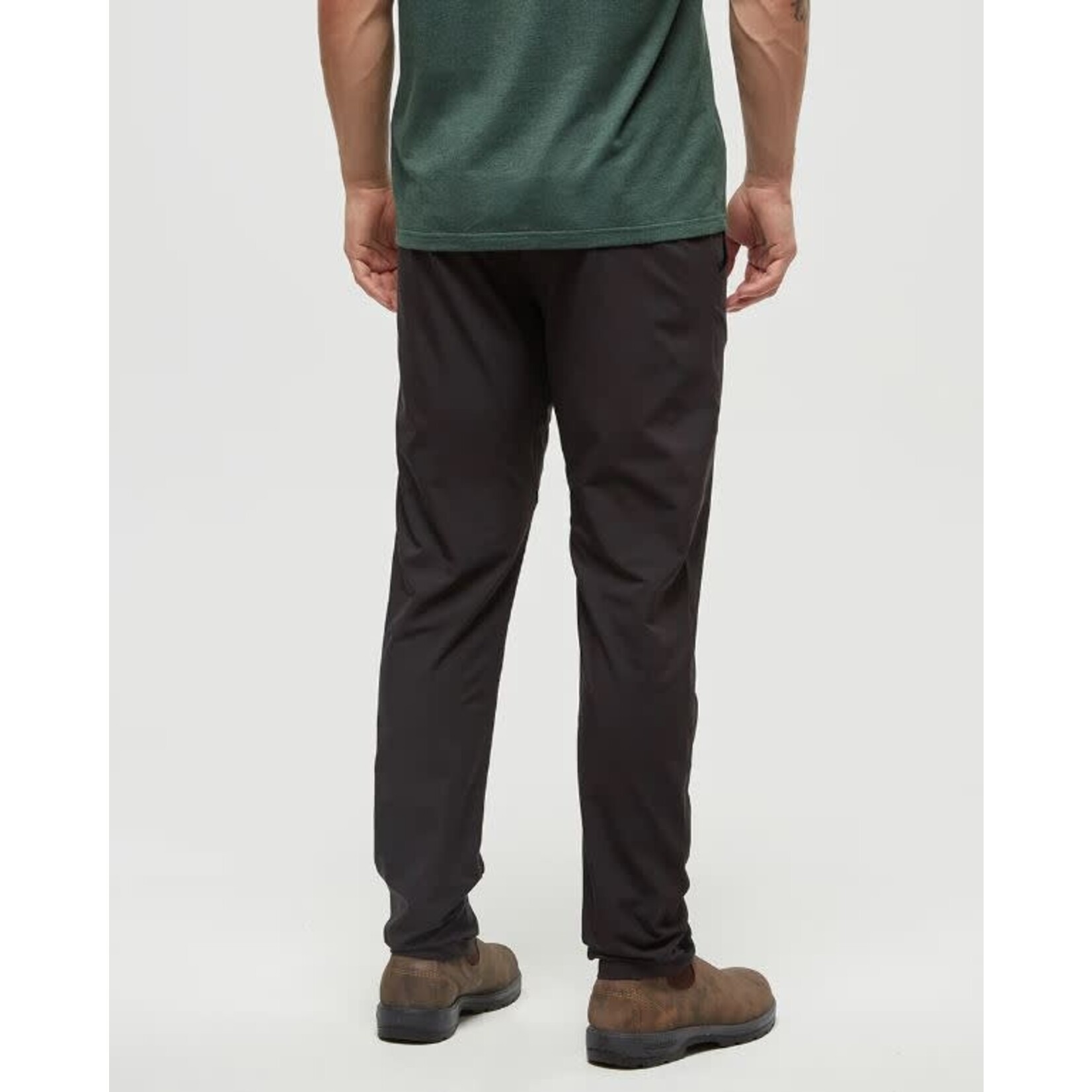 tentree Destination Pant