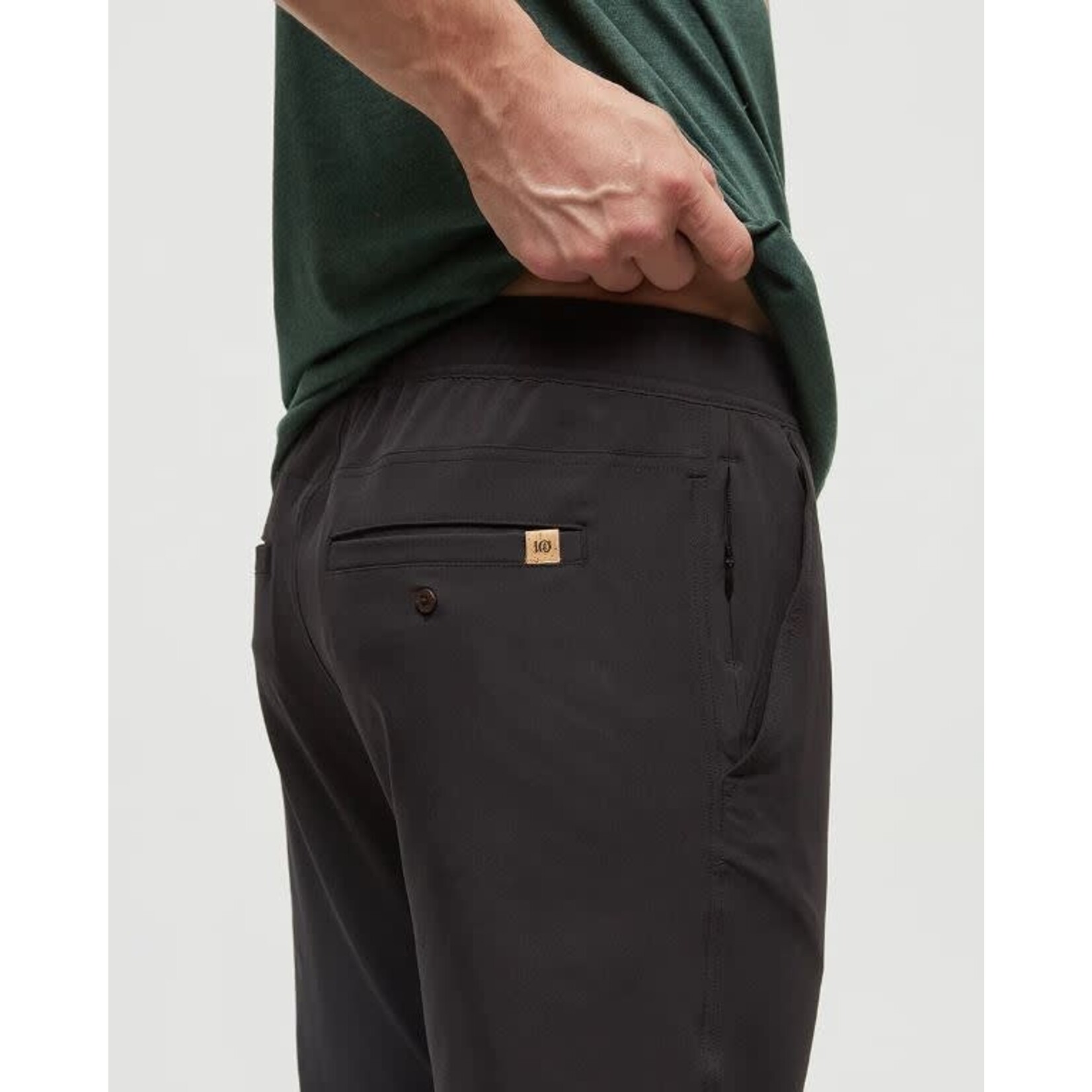 tentree Destination Pant