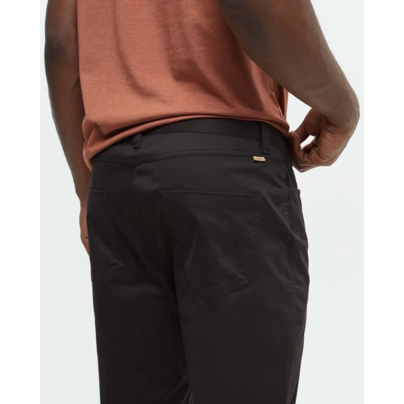 tentree Strathcona Pant