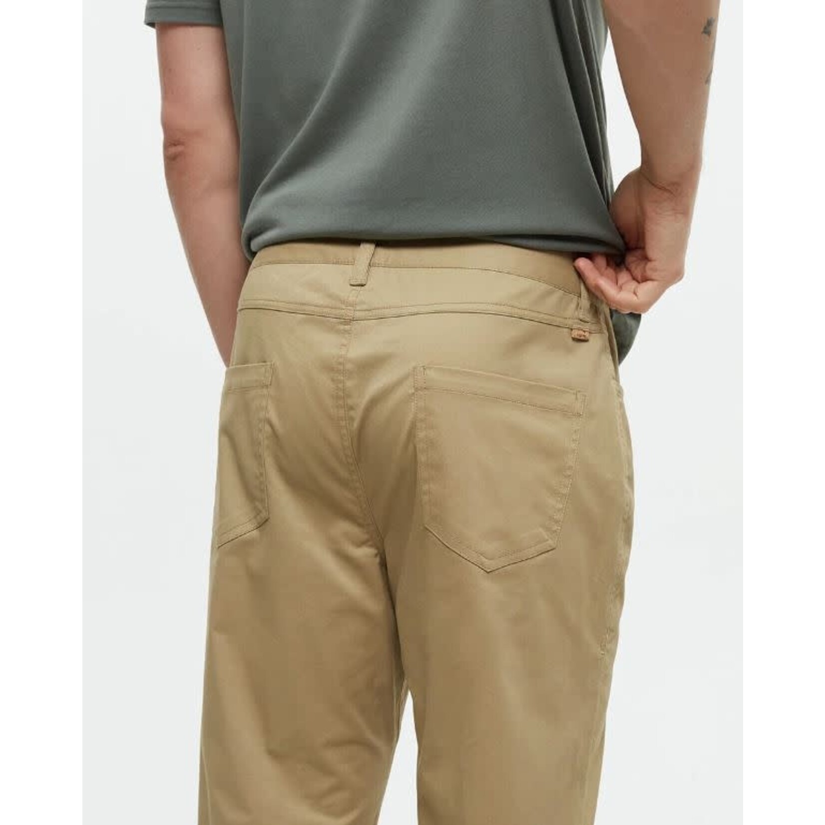 tentree Strathcona Pant