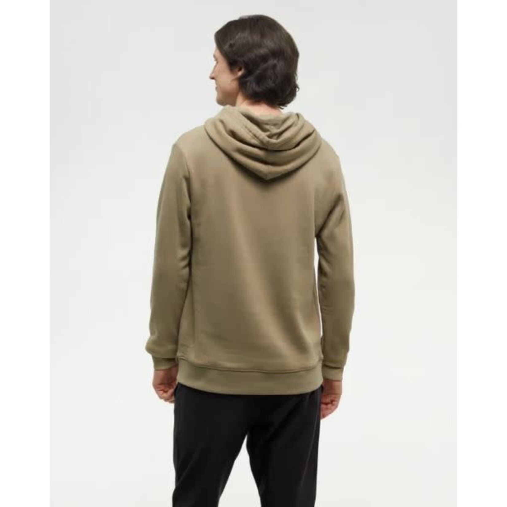 tentree Cloudy Forest Ten Hoodie