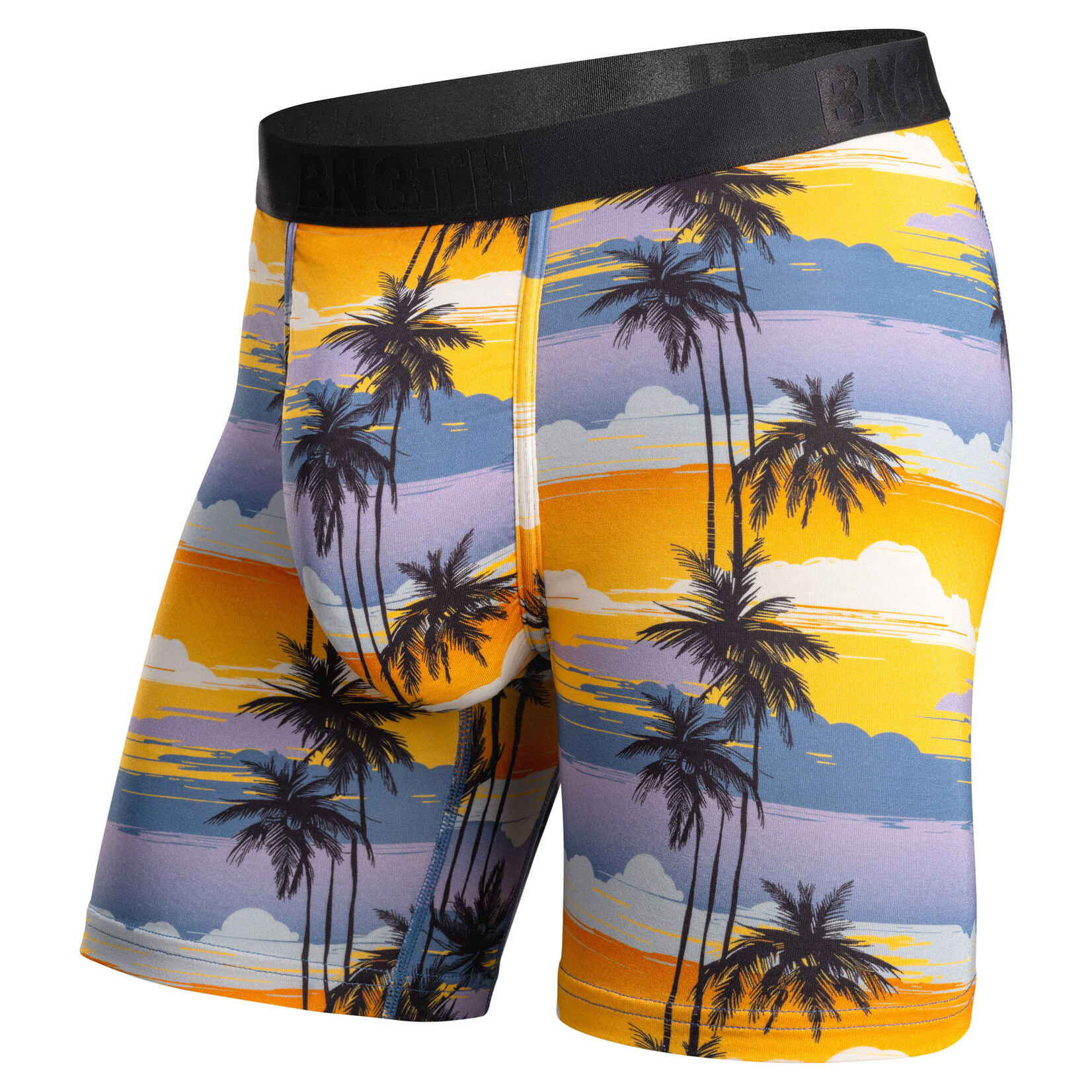 BN3TH Classic Boxer Brief With Fly Palm Tree Horizon