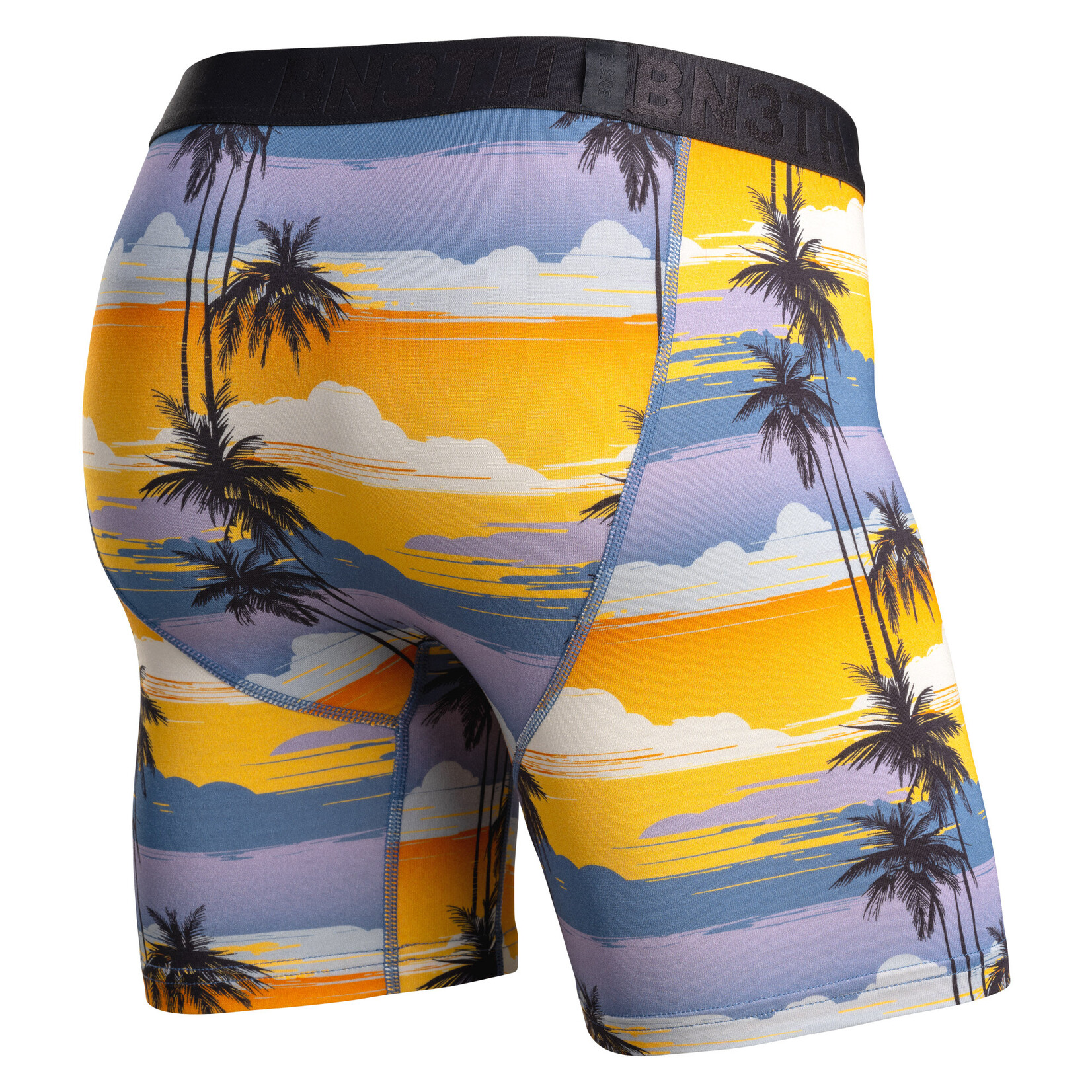 BN3TH Classic Boxer Brief With Fly Palm Tree Horizon