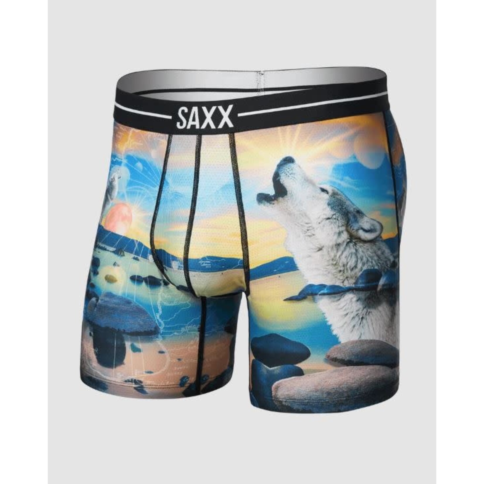 SAXX Volt Boxer Brief I Dream Of Tahoe Multi