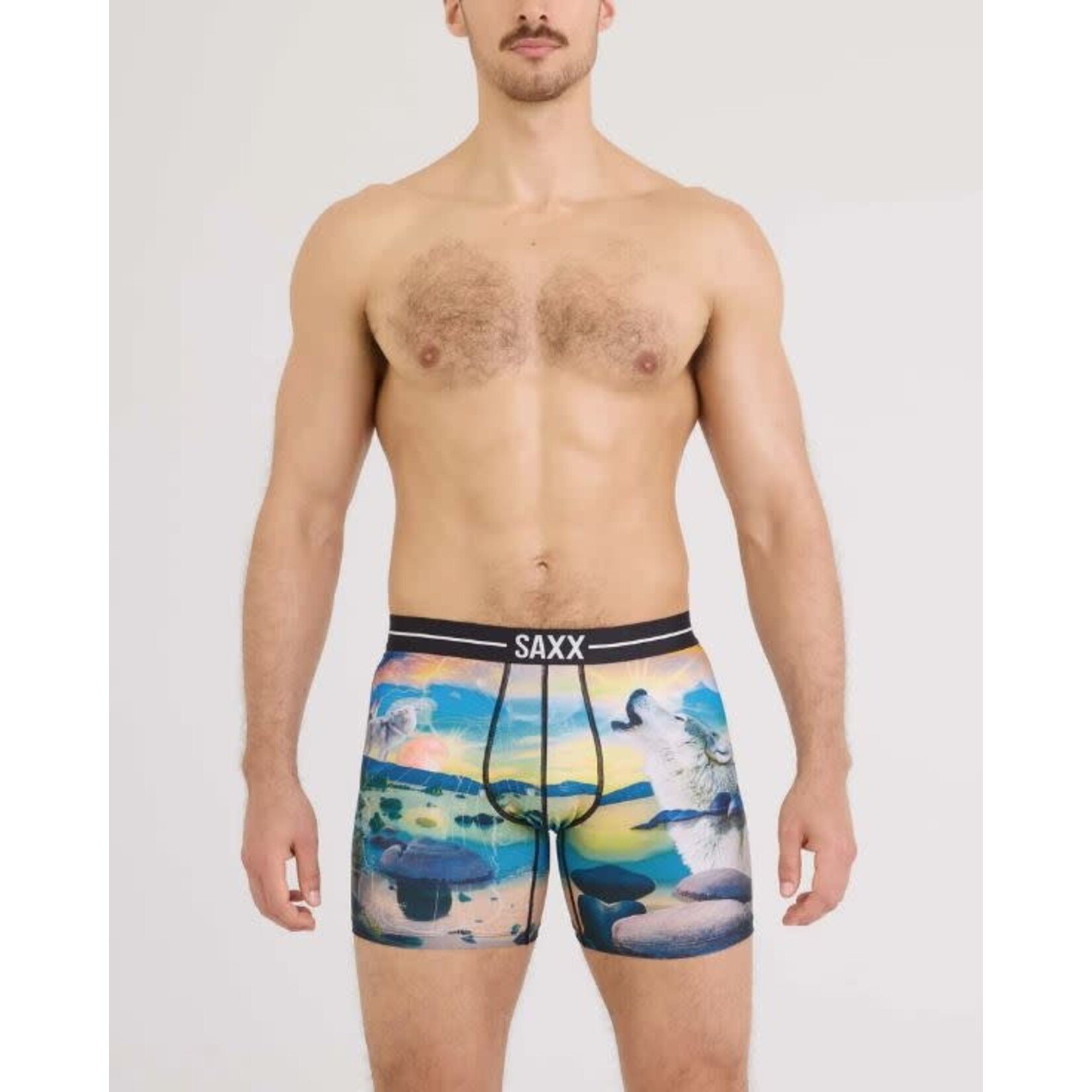 SAXX Volt Boxer Brief I Dream Of Tahoe Multi
