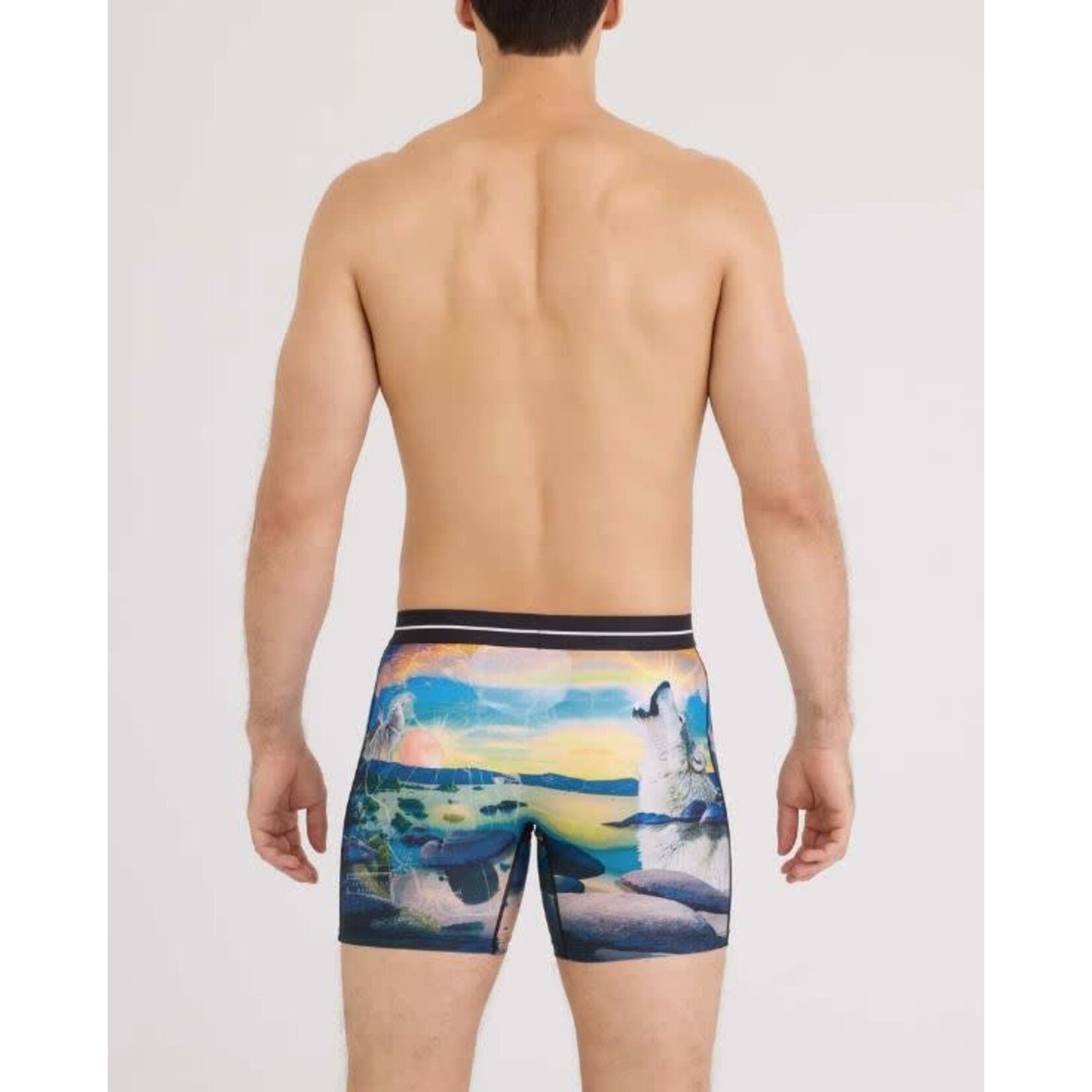 SAXX Volt Boxer Brief I Dream Of Tahoe Multi