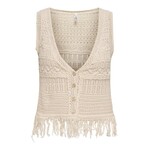 Only Alix Fringe Vest