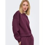 Only Best Crewneck Sweatshirt