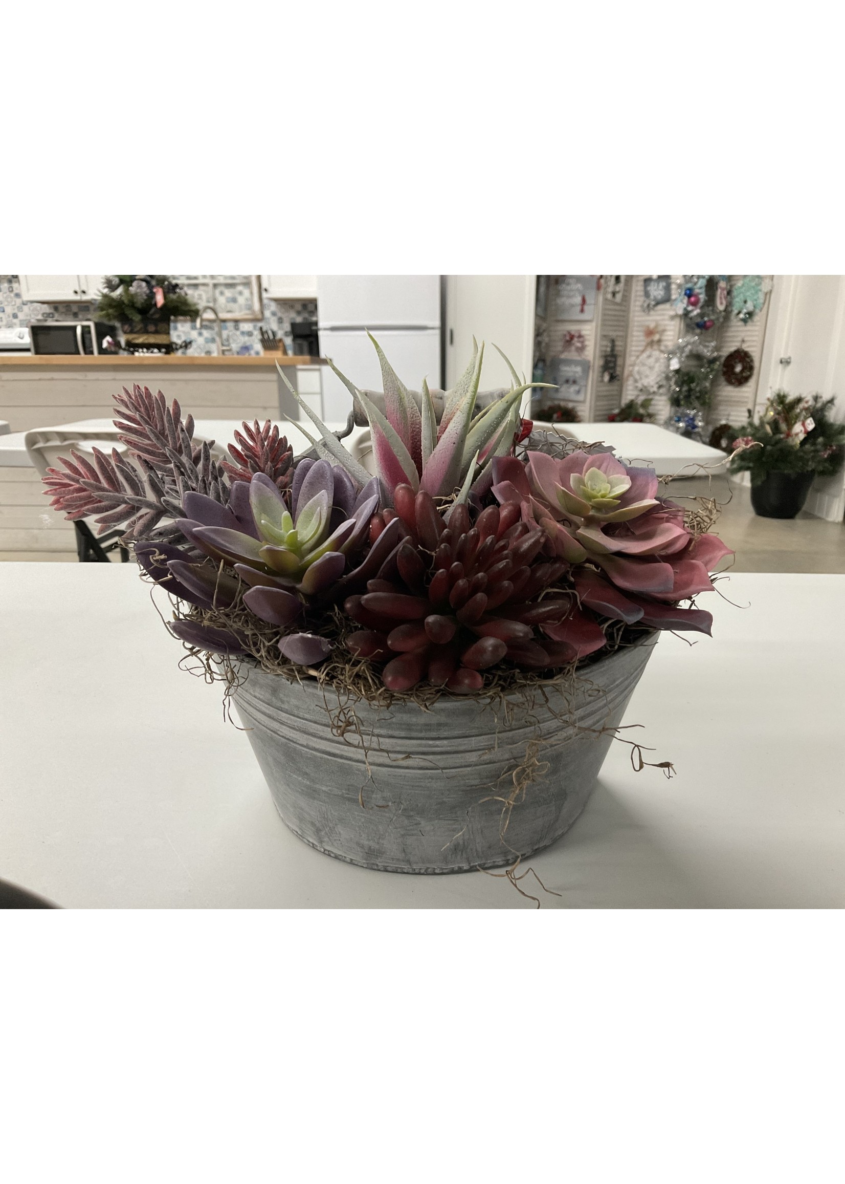 My New Favorite Thing Wall Hanging Metal Bucket Spring Succulent