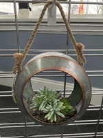 My New Favorite Thing Hanging Frame Tire w/2 Succulents