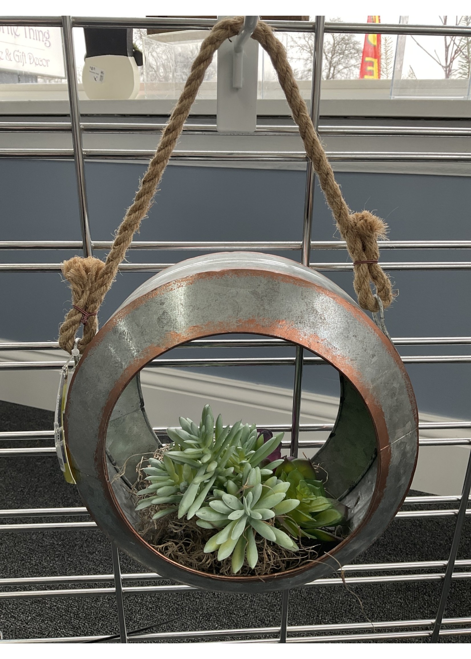 My New Favorite Thing Hanging Frame Tire w/2 Succulents