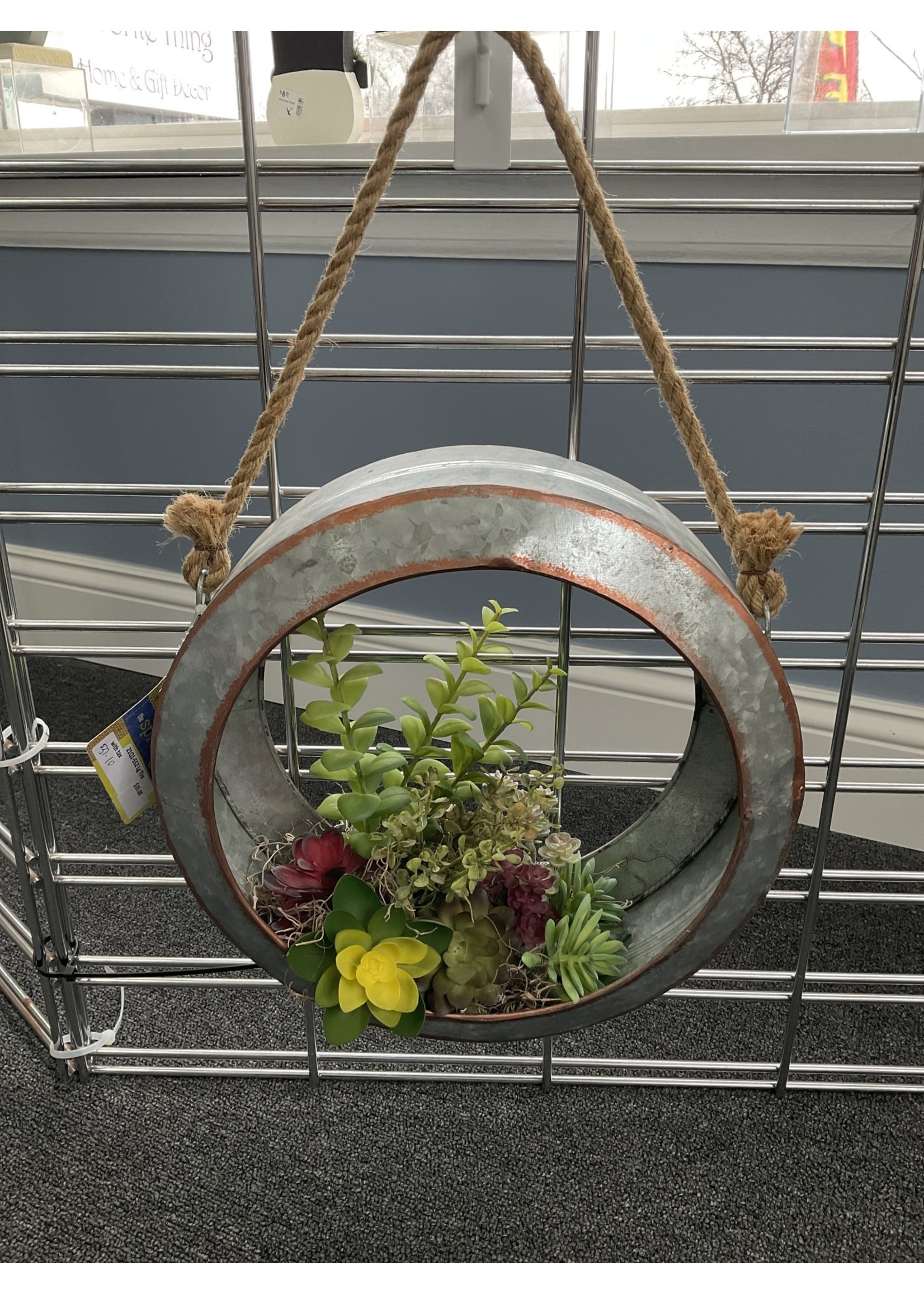 My New Favorite Thing Hanging Frame Large Tire w/Succulents
