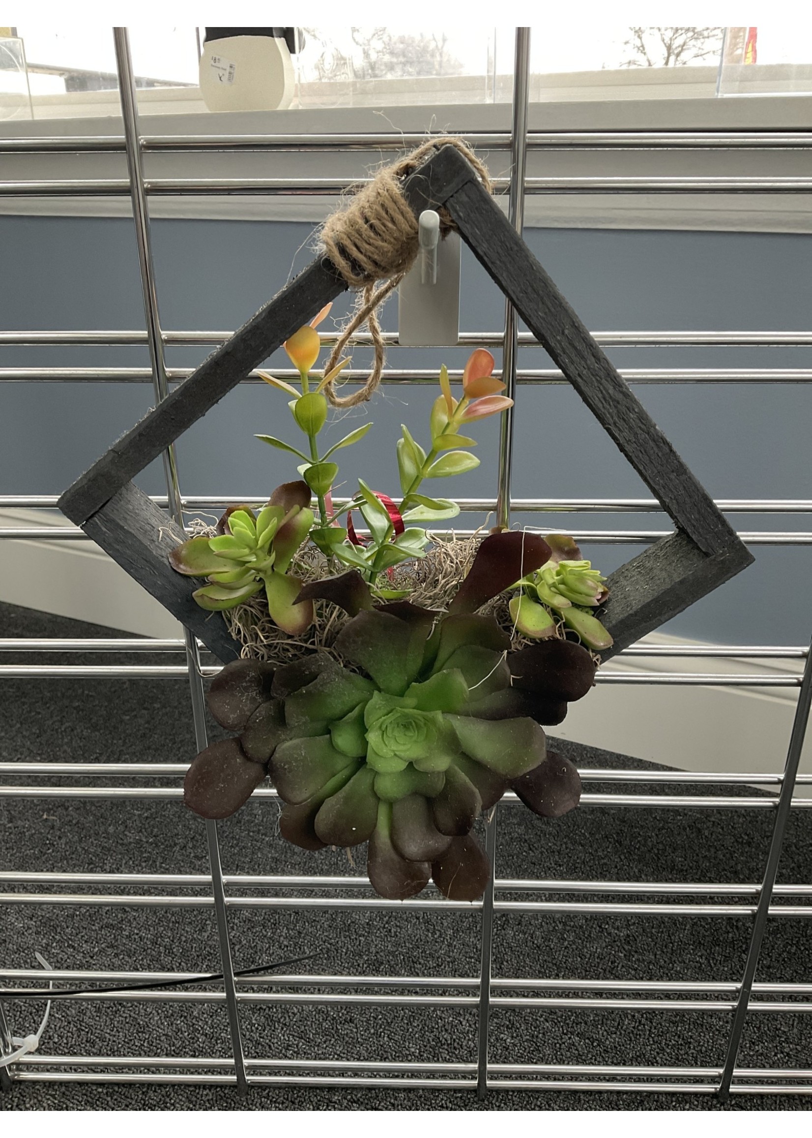 My New Favorite Thing Hanging Frame Wood Square Grey w/Succulents