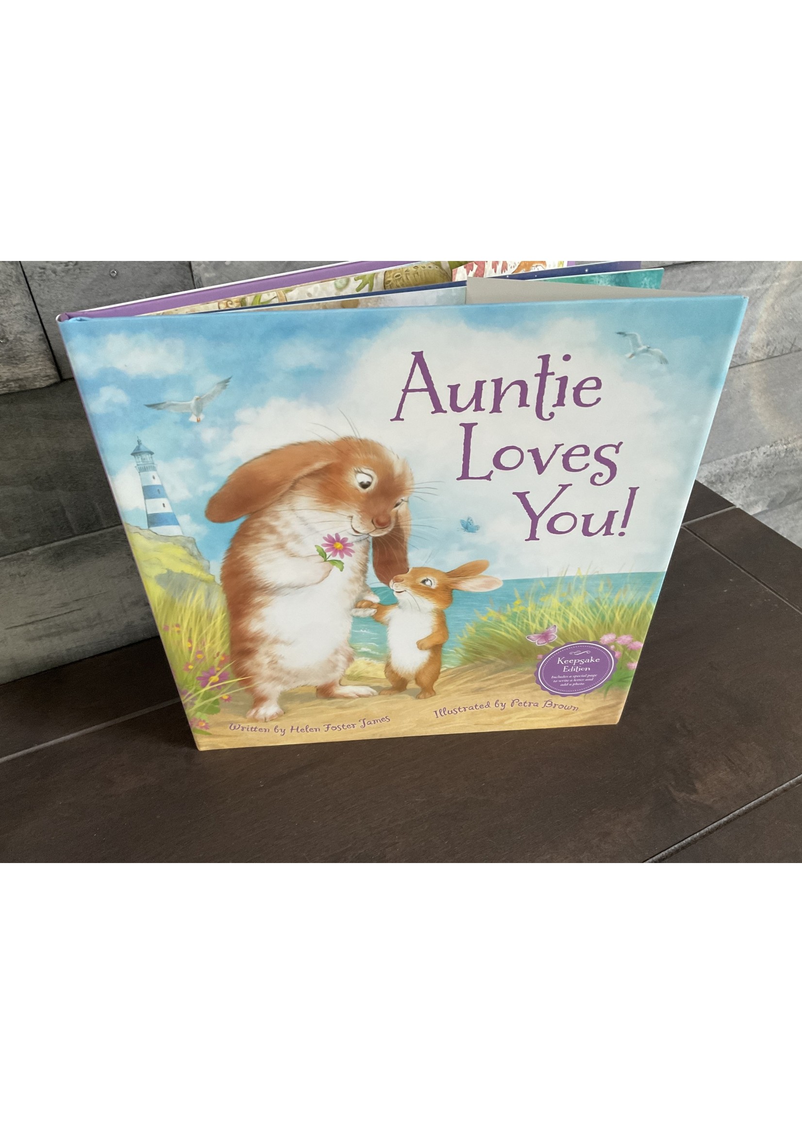 Sleeping Bear Press Auntie Loves You! Hardcover Picture Book
