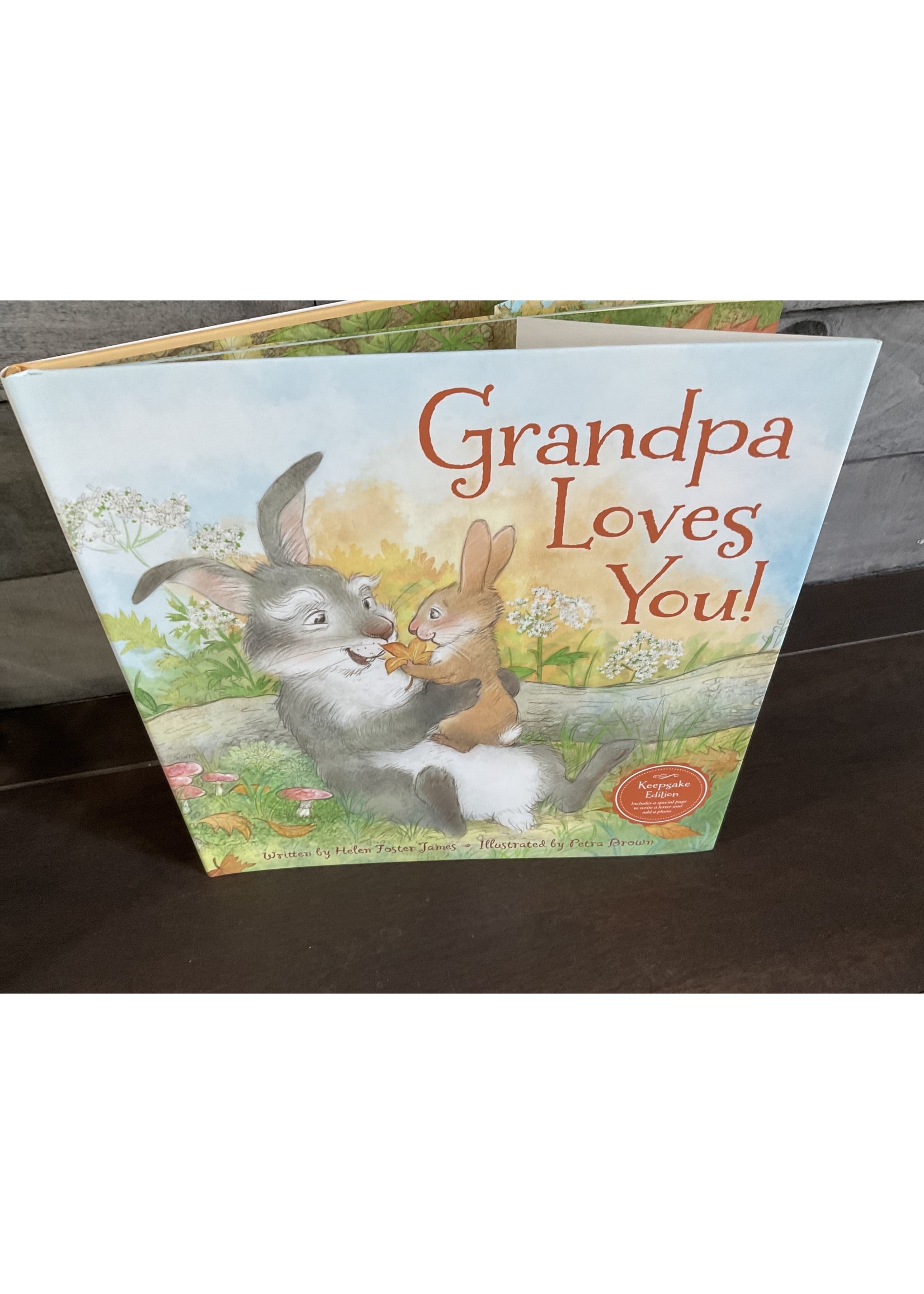 Sleeping Bear Press Grandpa Loves You! Hardcover Picture Book